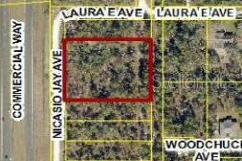 Land in Weeki Wachee, Florida № 2235062 - photo 4