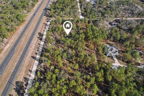Land in Weeki Wachee, Florida № 2235062 - photo 8