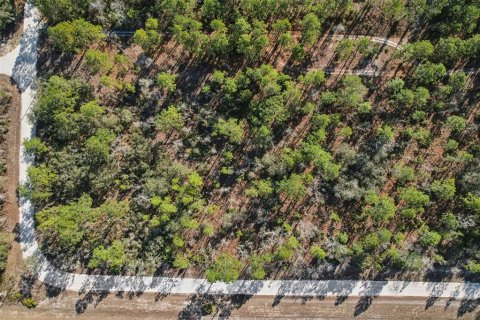 Land in Weeki Wachee, Florida № 2235062 - photo 15