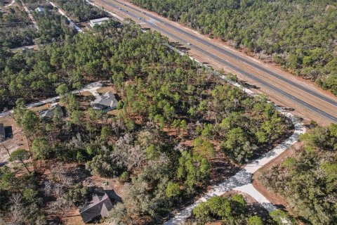Land in Weeki Wachee, Florida № 2235062 - photo 16