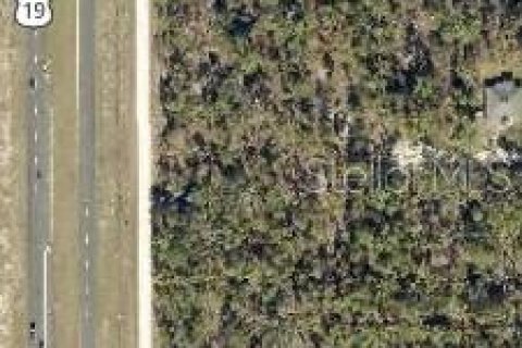 Land in Weeki Wachee, Florida № 2235062 - photo 5
