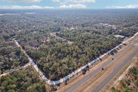 Land in Weeki Wachee, Florida № 2235062 - photo 13