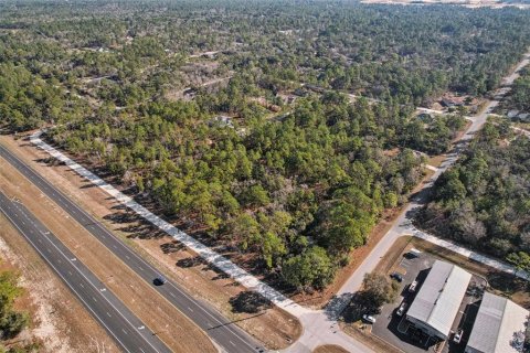 Land in Weeki Wachee, Florida № 2235062 - photo 10