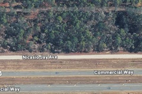 Land in Weeki Wachee, Florida № 2235062 - photo 6
