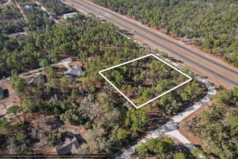 Land in Weeki Wachee, Florida № 2235062 - photo 2