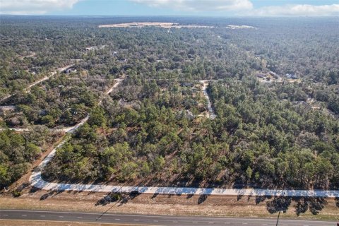 Land in Weeki Wachee, Florida № 2235062 - photo 12