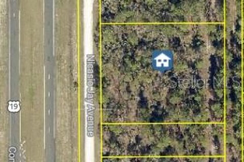 Land in Weeki Wachee, Florida № 2235062 - photo 3