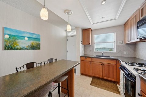 Condo in South Pasadena, Florida, 2 bedrooms № 2219051 - photo 11