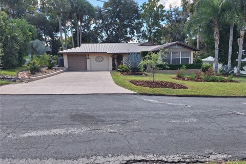 Villa ou maison à Mount Dora, Floride 3 chambres, 199 m2 № 2431079