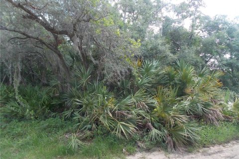 Terreno en venta en Leesburg, Florida № 1205020 - foto 7
