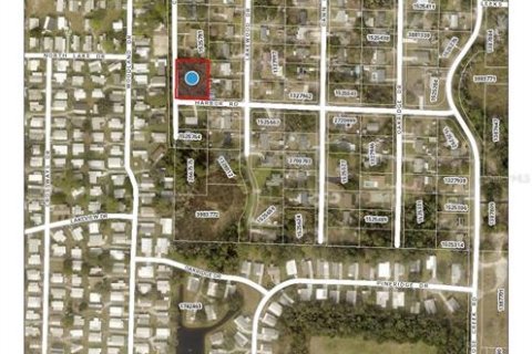 Terreno en venta en Leesburg, Florida № 1205020 - foto 1