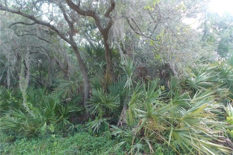 Terreno en venta en Leesburg, Florida № 1205020 - foto 9