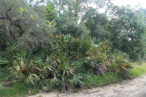 Terreno en venta en Leesburg, Florida № 1205020 - foto 8