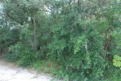Terreno en venta en Leesburg, Florida № 1205020 - foto 4