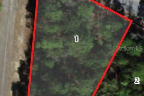 Terreno en Citrus Springs, Florida № 2215036