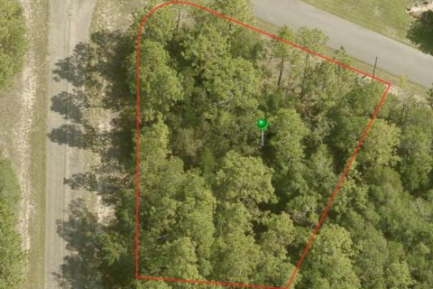 Land in Citrus Springs, Florida № 2215036 - photo 2