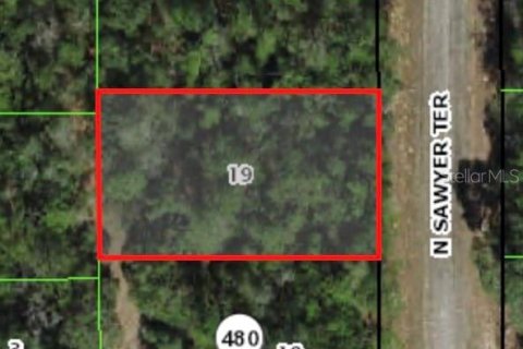 Terreno en Dunnellon, Florida № 2162105