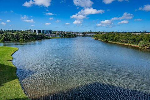 Condo in Saint Petersburg, Florida, 3 bedrooms № 2143507 - photo 11