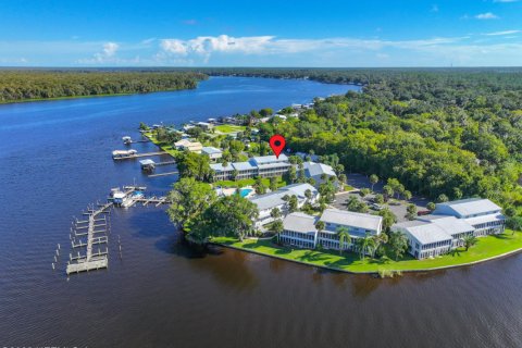 Copropriété à vendre à Welaka, Floride: 2 chambres, 110 m2 № 772719 - photo 1