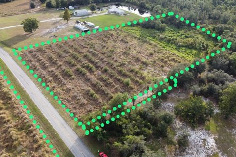 Land in Fort Meade, Florida № 2098129 - photo 5
