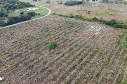 Land in Fort Meade, Florida № 2098129 - photo 13