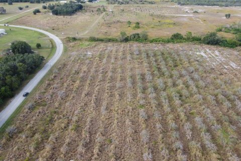 Land in Fort Meade, Florida № 2098129 - photo 7