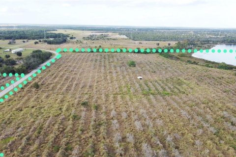 Land in Fort Meade, Florida № 2098129 - photo 2
