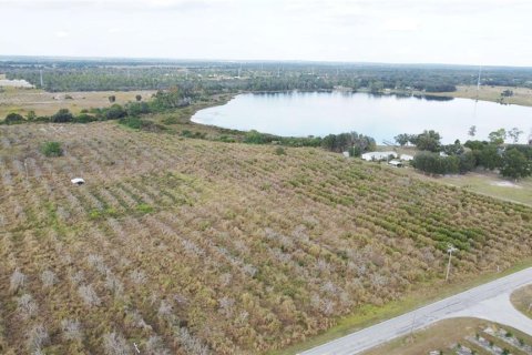 Land in Fort Meade, Florida № 2098129 - photo 8