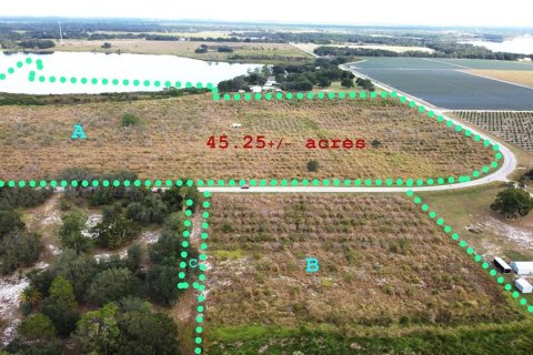 Terrain à Fort Meade, Floride № 2098129