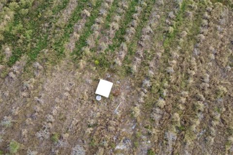 Land in Fort Meade, Florida № 2098129 - photo 6