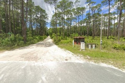 Terreno en venta en Sanderson, Florida № 2160800 - foto 4