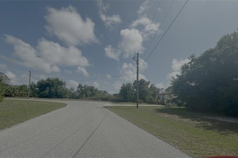 Land in Rotonda, Florida № 2163241 - photo 8