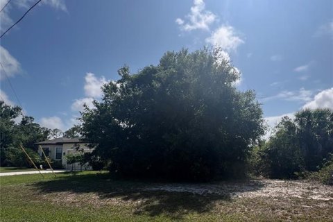 Land in Rotonda, Florida № 2163241 - photo 14