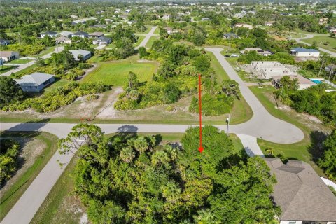 Land in Rotonda, Florida № 2163241 - photo 4