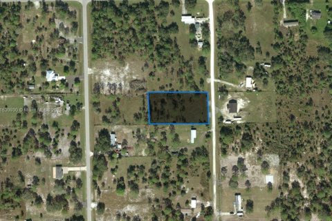 Land in Clewiston, Florida № 1753529 - photo 1