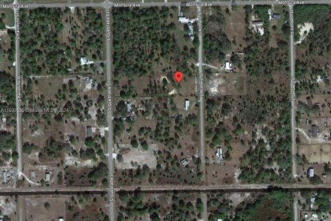 Land in Clewiston, Florida № 1753529 - photo 3