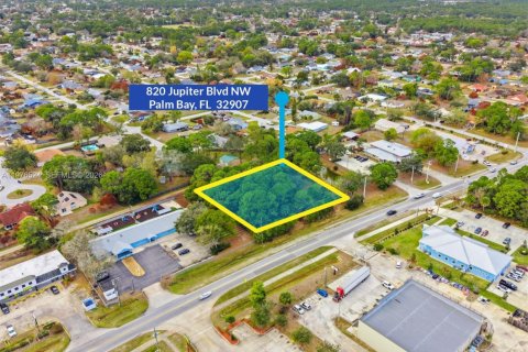 Commercial property in Palm Bay, Florida № 2040505 - photo 6