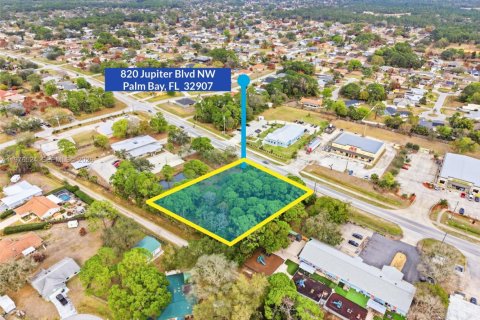 Commercial property in Palm Bay, Florida № 2040505 - photo 5