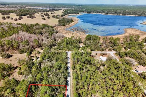Land in Dunnellon, Florida № 2393670 - photo 2