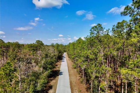 Land in Dunnellon, Florida № 2393670