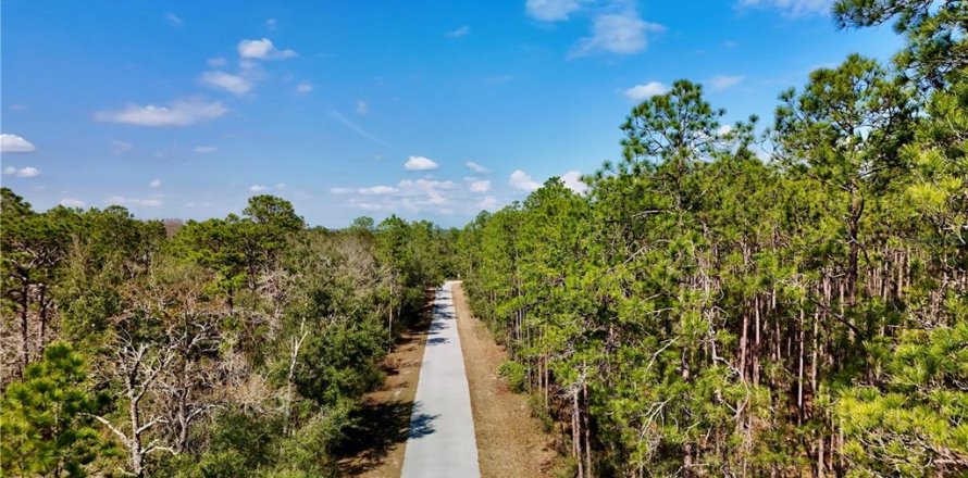 Land in Dunnellon, Florida № 2393670