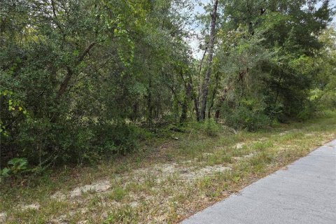 Land in Dunnellon, Florida № 2393670 - photo 4
