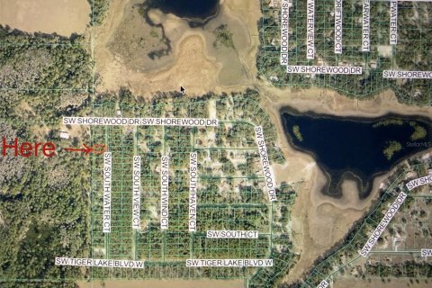 Land in Dunnellon, Florida № 2393670 - photo 6
