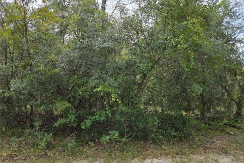 Land in Dunnellon, Florida № 2393670 - photo 3