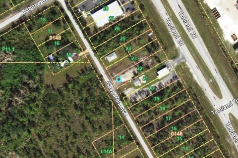 Immobilier commercial à vendre à Punta Gorda, Floride № 1822826 - photo 5