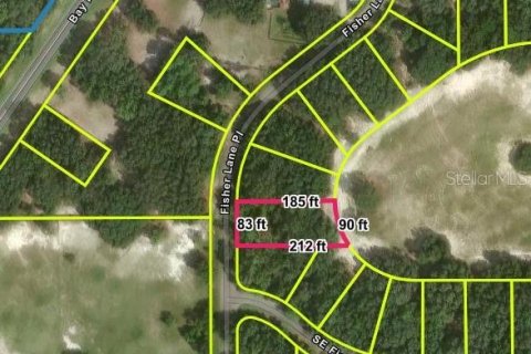 Land in Ocklawaha, Florida № 2238848 - photo 4