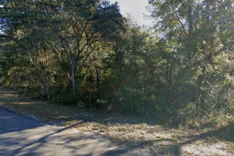 Land in Ocklawaha, Florida № 2238848 - photo 2