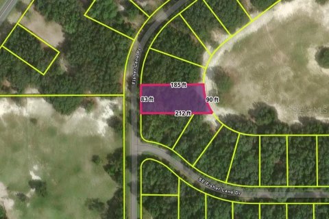 Land in Ocklawaha, Florida № 2238848