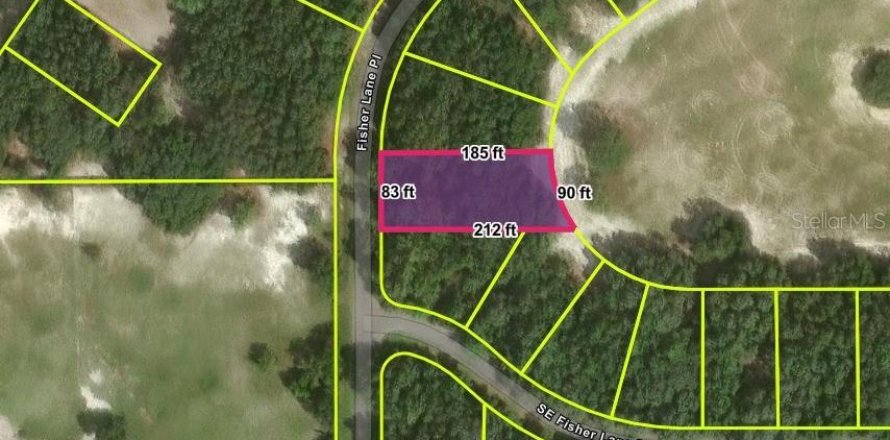 Land in Ocklawaha, Florida № 2238848