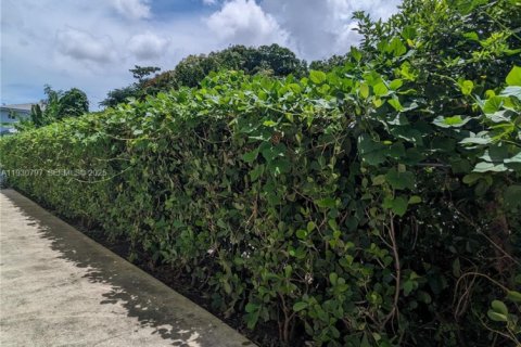 Villa ou maison à louer à Miami, Floride: 3 chambres, 311.41 m2 № 1989507 - photo 3
